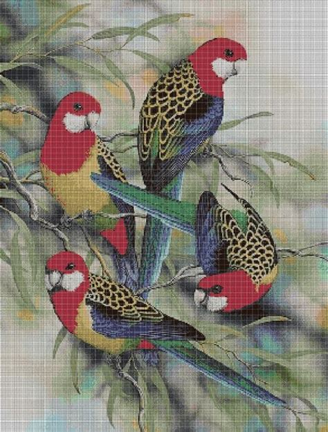 Team zissou cross stitch patterns : Parrot team cross stitch pattern in pdf DMC | Cross stitch ...