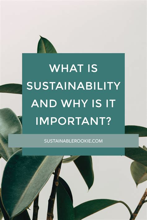 What Is Sustainability And Why Is It Important — Sustainable Rookie