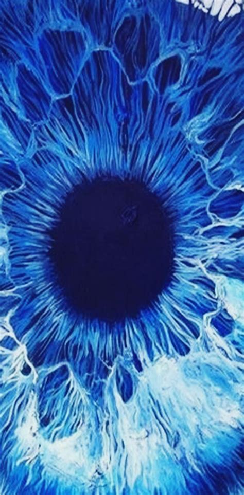 Blue Iris Wallpapers Top Free Blue Iris Backgrounds Wallpaperaccess