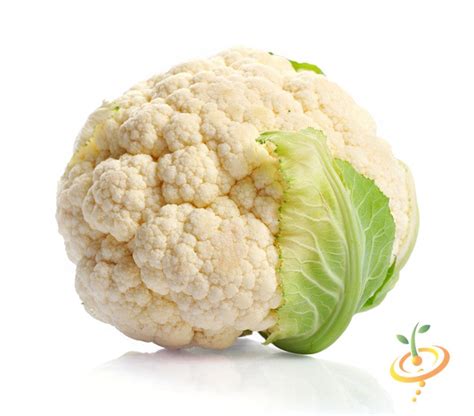 Cauliflower Snowballself Blanche White Order Heirloom Organic