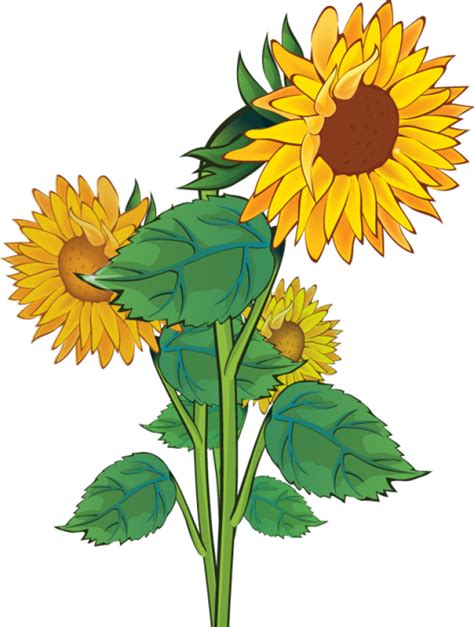 Sunflower Christian Clip Art Clipartbold Clipartix