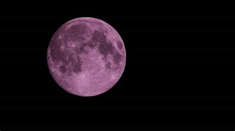 How to see the 'super pink moon' from home. 'Pink Moon' to Light Up Night Sky This Weekend
