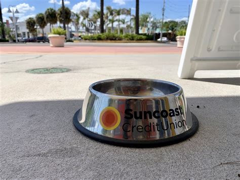 Need a place to stay in st. Dog days at credit union's latest branch | Business ...