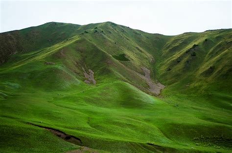 Premium Photo Green Slopes Of Mountains Mountain Peaks Covered With
