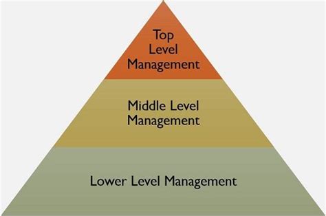 What Is Management Definition Characteristics Levels And Functions