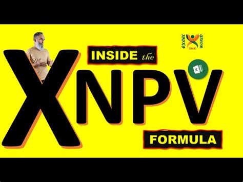 Inside the XNPV formula | XNPV vs NPV | SHKExcelWorld - YouTube