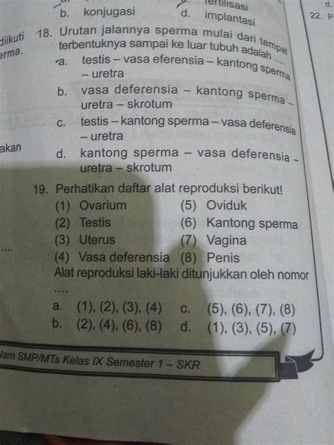 Perlu Simak Urutan Jalannya Urine Adalah Terkini