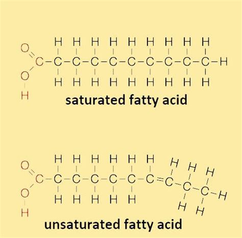 Fatty Acids Javatpoint