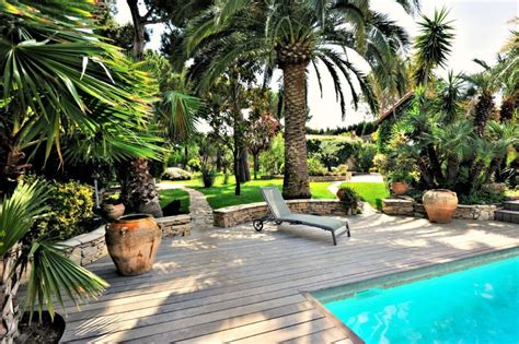 Palm Tree Landscaping Ideas Indoor And Outdoor Palm Paradise Jay