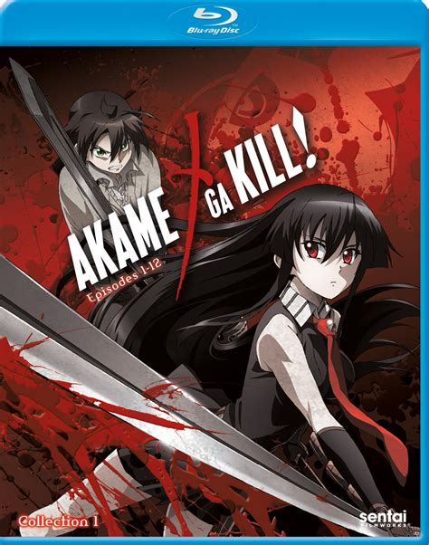Best Buy Akame Ga Kill Collection 2 Blu Ray 2 Discs