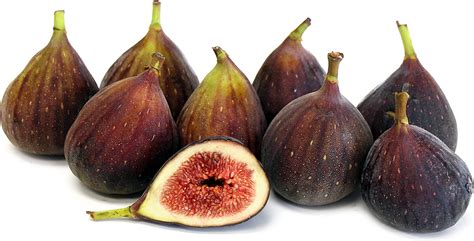 Choose A Large Pot For Your Fig Tree Themarketatdelval Com