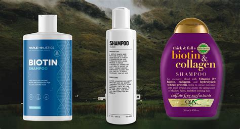 The Best Biotin Shampoos In 2023 Orlando Magazine