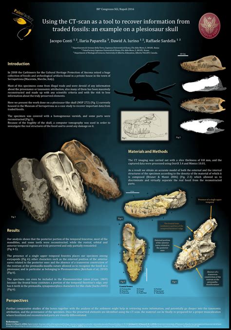 pdf using the ct scan as a tool to recover information from traded fossils an example on a