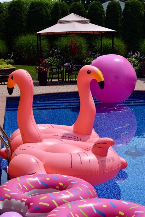 What s a pink pool party without flamingos Infância