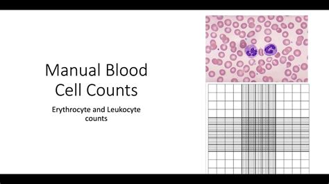 Manual Blood Cell Counts Youtube