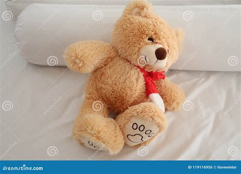 Teddy Bear Laying On White Bed Stock Photo Image Of Domestic Laying