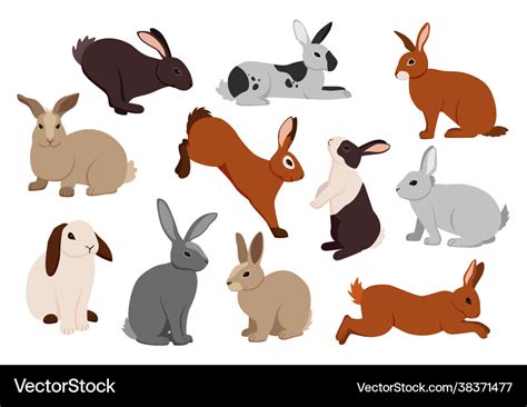 Cartoon Hare Cute Bunny In Different Poses Vector Image