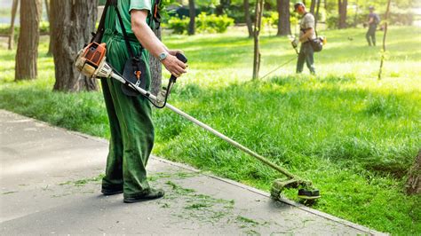 Our Lawn Care Experts Best Tips For Choosing The Right Lawn Care
