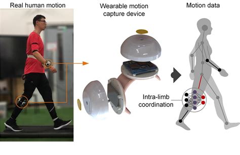 A Wearable Motion Capture Device Able To Detect Dynamic Motion Of Human