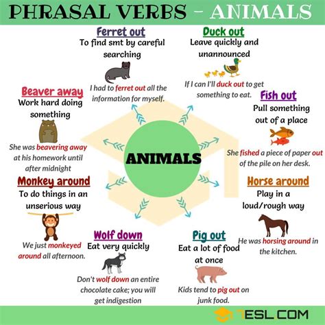 Common Phrasal Verbs In English And Their Meanings E S L