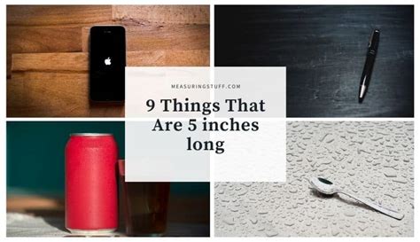 7 Things That Are 10 Feet Long You Wont Believe 4 Page 4