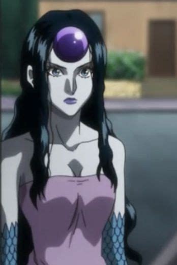 Palm Siberia ~Hunter X Hunter | Hunter anime, Hunter x hunter, Hunter