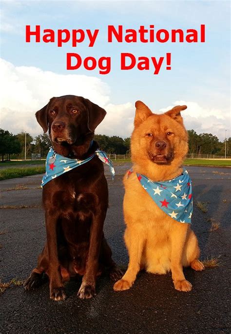 Happy National Dog Day Animal Wish