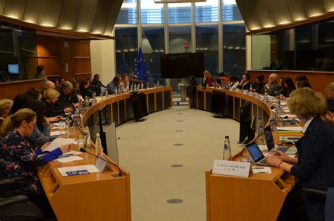 ‘shaping a future eu mental health strategy priorities and activities meeting to be held on