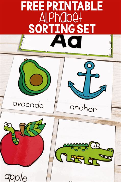 Alphabet Beginning Sounds Picture Cards Sorting Activity Alphabet