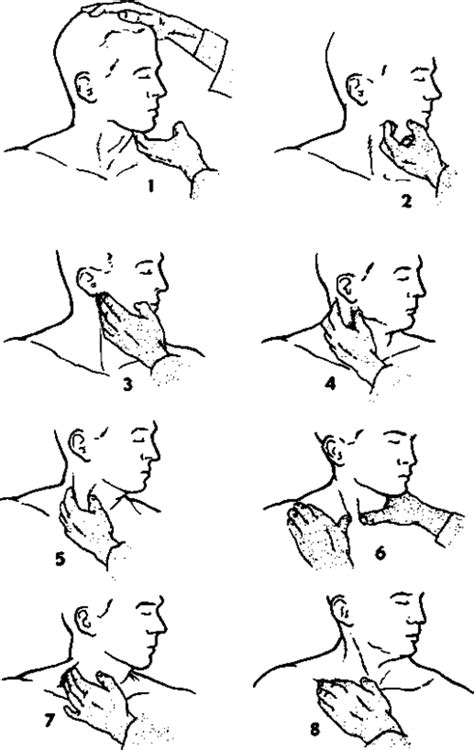 Physical Examination Of Head And Neck