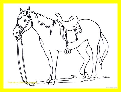 Select from 35970 printable coloring pages of cartoons, animals, nature, bible and many more. Pinto Horse Coloring Pages at GetColorings.com | Free ...