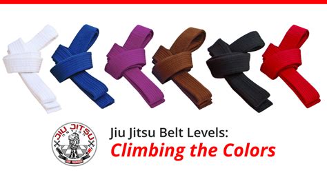 Jiu Jitsu Belt Levels Climbing The Colors