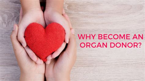 Why Organ Donation Is Important Medical Darpan