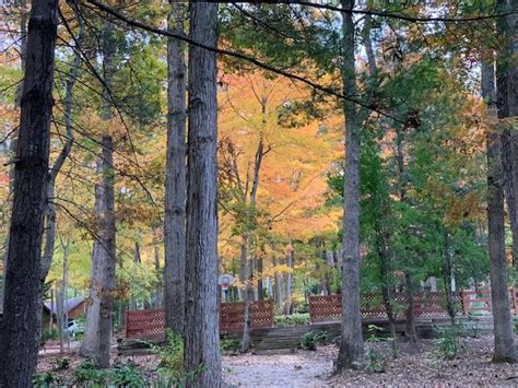 Asheville cabins of willow winds: Pin by Asheville Cabins of Willow Win on Willow Winds ...