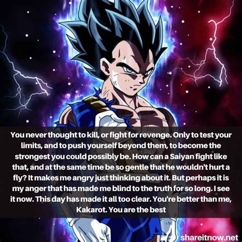 14 Best Vegeta Quotes From Dragon Ball Shareitnow