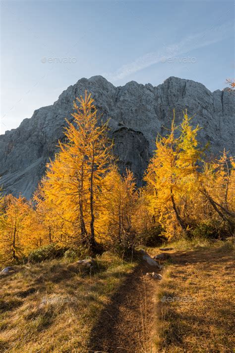 Autumn At Slemenova Spica Plateau In The Julian Alps Mountains Stock