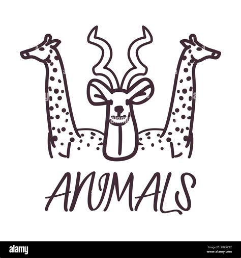 Antelope And Giraffes Cartoons Design Animals And Zoo Theme Vector