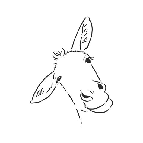 Donkey Vector Sketch 8686963 Vector Art At Vecteezy