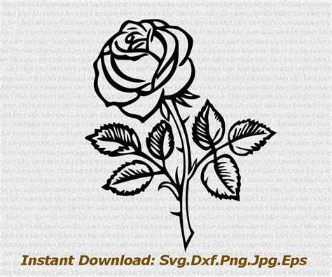 Layered Rose Svg For Silhouette Free Svg Cut File Vrogue