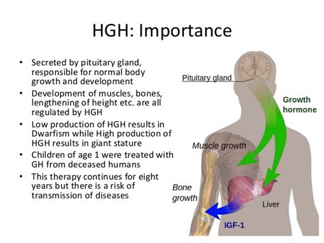 Genentech pioneered the first use of recombinant human growth hormone for human therapy in 1981. Insulin and HGH production using rDNA technology
