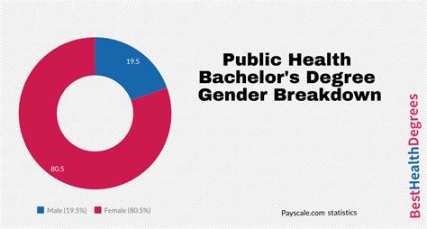What Can I Do With A Bachelors In Public Health The Best Health Degrees
