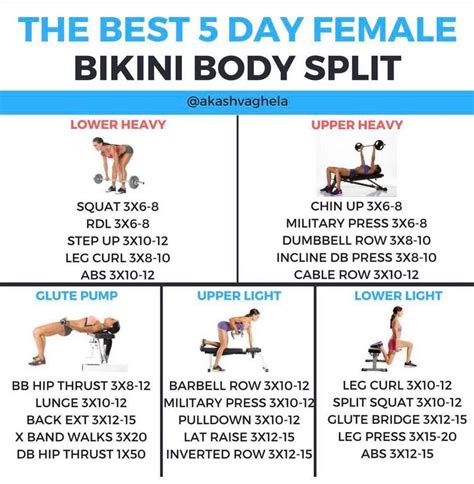 5 Day Workout Split Lower Belly Workout Workout Splits Basic Workout