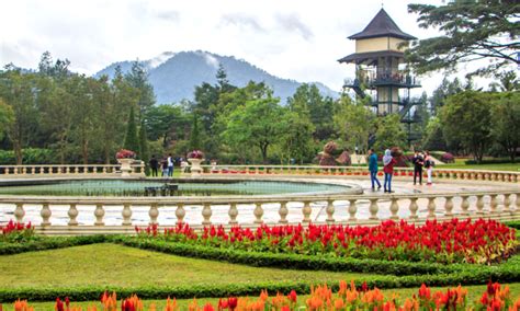 Lokasi taman bunga ini dekat dengan gunung merapi. Alamat Taman Bunga Pandeglang - Taman Bunga Nusantara ...