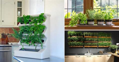 20 Indoor Kitchen Garden Ideas Herb Garden In The Kitchen