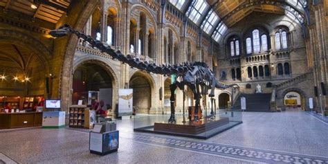 Dippy The Diplodocus At The Natural History Museum Is