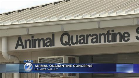 Respond to reports of illness or death on airplanes, cruise and cargo vessels at the international major hawaii airport arrivals. Lawmakers call for audit of animal quarantine station ...