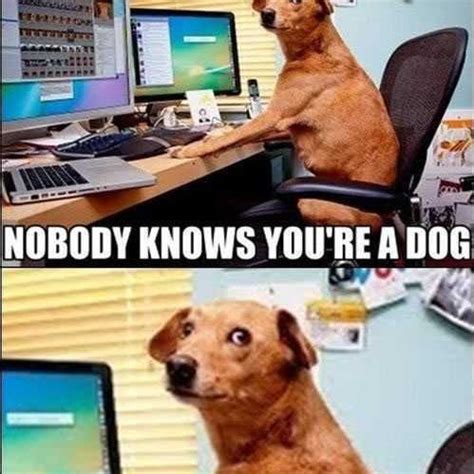Make talking dog memes or upload your own images to make custom memes. Grab the Prodigious Funny Dog Talking Memes - Hilarious Pets Pictures