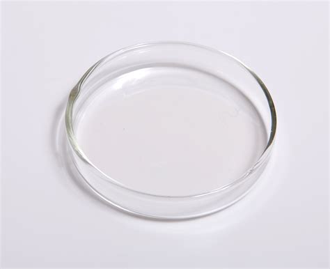 Fileglass Petri Dish Wikimedia Commons