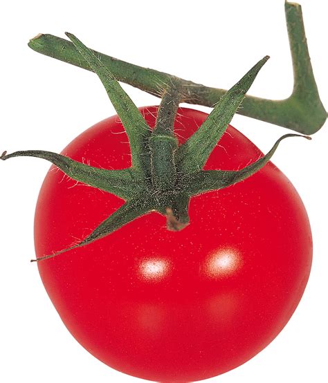 Tomato Png