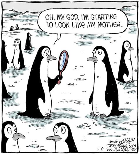 Cartoon Of The Day Penguin Problems Common Sense Evaluation